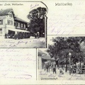Postkarte Gasthaus zur Linde