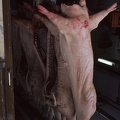 Totes Schwein Fleischwarenfabrik Bell AG