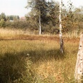 Naturschutzgebiet Langacker Moos