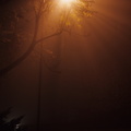 Lampe im Nebel