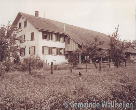 Bauernhof Langhard