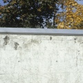 Sanierung Flachdach / Betonschäden Oblicht