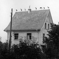Haus_1925_Siedlungsentwicklung, Architektur_14184_low_res.jpg