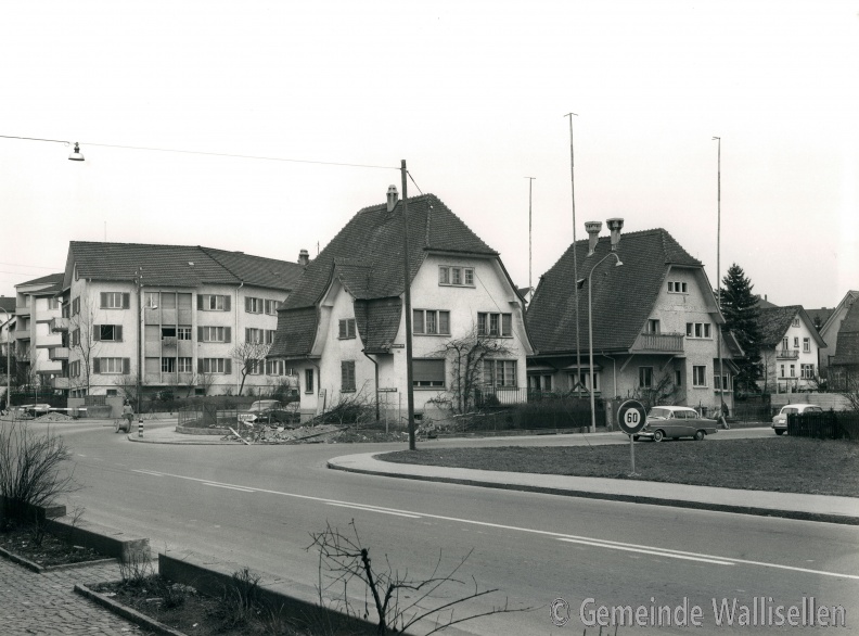 Alte Winterthurerstrasse_1963_Siedlungsentwicklung, Architektur_5093_low_res.jpg