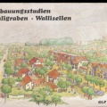 Überbauungsstudien Hörnligraben_1978_Siedlungsentwicklung, Architektur_11527_low_res.jpg