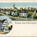 Postkarte Wallisellen Gesamtansichten_1909_Gegenstände_1703_low_res.jpg