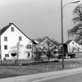 Haus Weber, alte Winterthurerstrasse 91