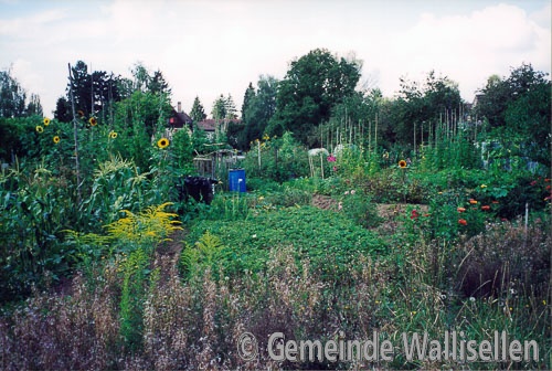 Familiengarten Areal_2002_Natur_7753_low_res.jpg