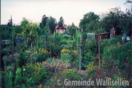 Familiengarten Areal_2002_Natur_7754_low_res.jpg